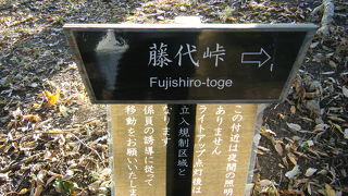 六義園で最も標高が高い