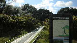 利尻富士もサイコー！