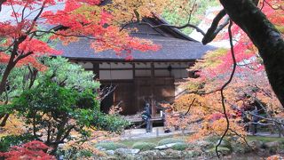 南禅院の紅葉　201711/25(土)