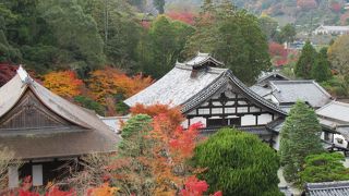 南禅寺塔頭天授庵の紅葉　201711/26(日)