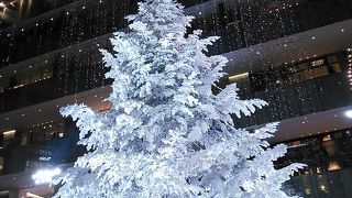 巨大クリスマスツリー