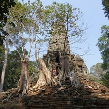 神秘的な遺跡。