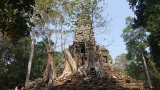 樹木に飲み込まれつつひっそりと
