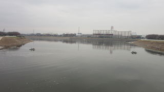 利根川と中川を結ぶ権現堂川を堰き止めて作った調節地