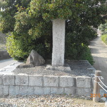 緑がいっぱいの小路