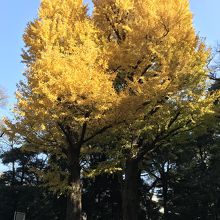 代々木からアプローチ