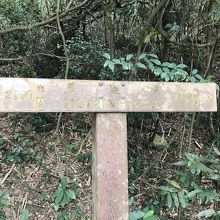 最初は歩いている人が他にもいましたが、途中から一人に