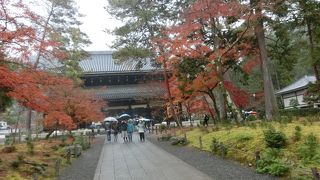 天井に描かれた幡龍がみごと