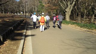 自然の中を走れます