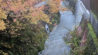 清流と紅葉と、秋景色を楽しんだ