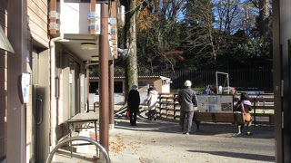 都会でポニーと触れ合えます