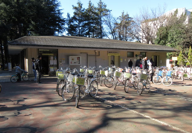代々木公園サイクリングセンター クチコミ アクセス 営業時間 代々木 フォートラベル