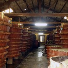 工場内には沢山の木製樽、独特の香りが漂っています