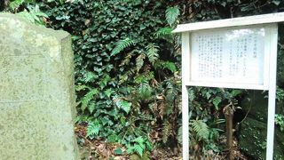 児玉神社の入り口にあります。