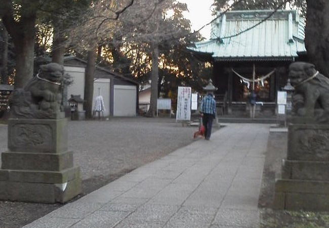 篠原八幡神社 クチコミ アクセス 営業時間 新横浜 フォートラベル 篠原八幡神社 クチコミ アクセス 営業時間 新横浜 フォートラベル