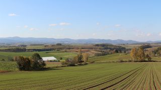 パノラマロード沿い。トイレと駐車場があります