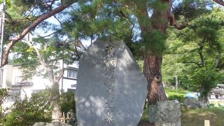 バス停すぐそばにありました