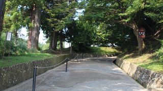 頑張って登ってくださいね