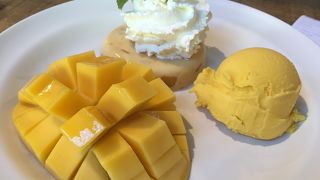 一度は行ってみないと