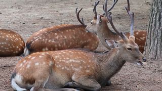 紙を持たない様に