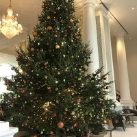 クリスマスツリー