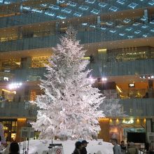 ６階吹き抜けの空間に聳えるクリスマスツリー