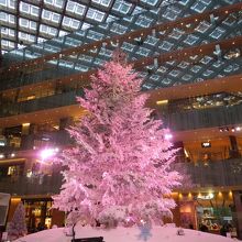 ６階吹き抜けの空間に聳えるクリスマスツリー