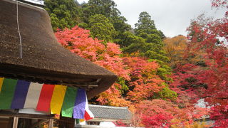 湖東三山定期観光バスの旅その１「永源寺」2017/11/23（祝）