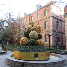 中庭のクリスマスツリー