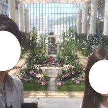 室内植物園 By つよーし 淡路夢舞台温室 奇跡の星植物館のクチコミ フォートラベル 室内植物園 By つよーし 淡路夢舞台温室 奇跡の星植物館のクチコミ フォートラベル