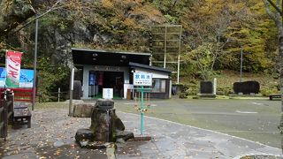 増水でも新洞は見られた