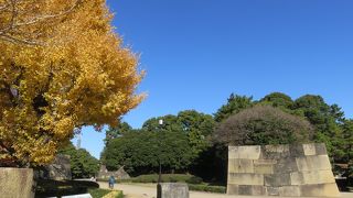 快晴の朝、皇居を散歩する