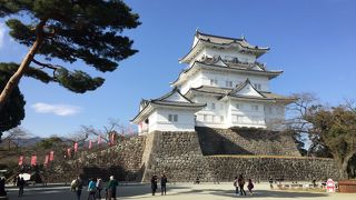 小田原城　日本で7番目に大きいお城　中は北条氏の博物館