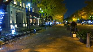 秋は銀杏、冬はイルミネーション