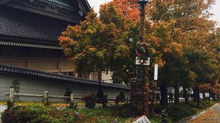 こちらもおすすめ