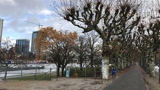 りんご酒で有名