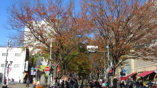 駅の再開発が進んでも残っています、そしてこれからも残してほしい道