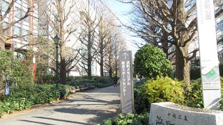 平日午前は保育園児が遊んでいます