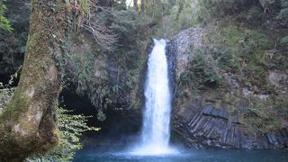 風情があります