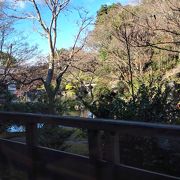 日本庭園を眺めるお店