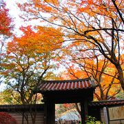 鎌倉で一番遅くまで紅葉を楽しめるお寺