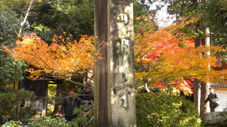 湖東三山定期観光バスの旅その4「西明寺」2017/11/23（祝）