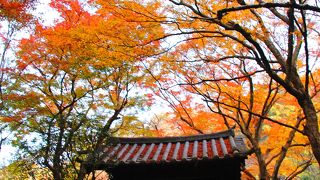 鎌倉で一番遅くまで紅葉を楽しめるお寺