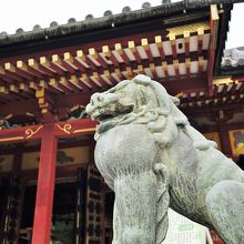 社殿前の狛犬