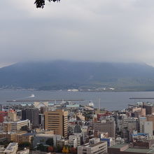 城山から見る桜島