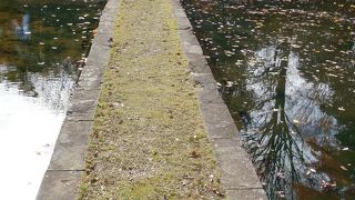 素っ気無さが珍しい