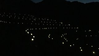 棚田のライトアップ