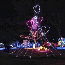 やっぱりハート♪