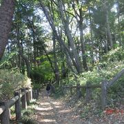 紅葉が綺麗でした