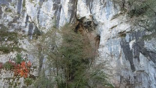 木道からの洞窟の景色が良かった